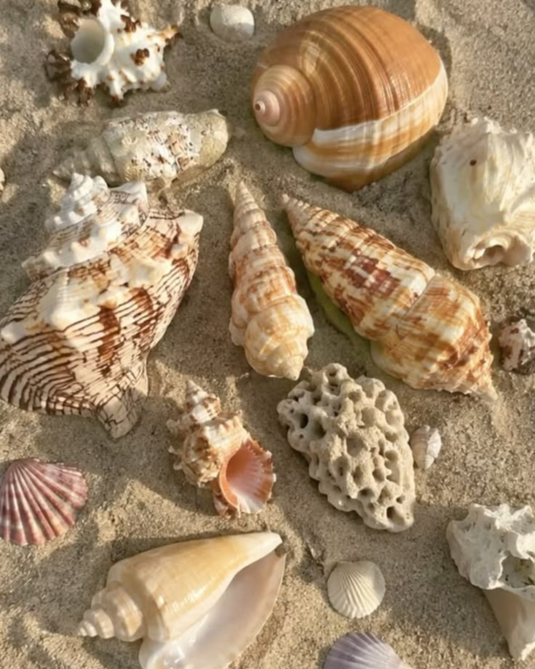 Salty Waves