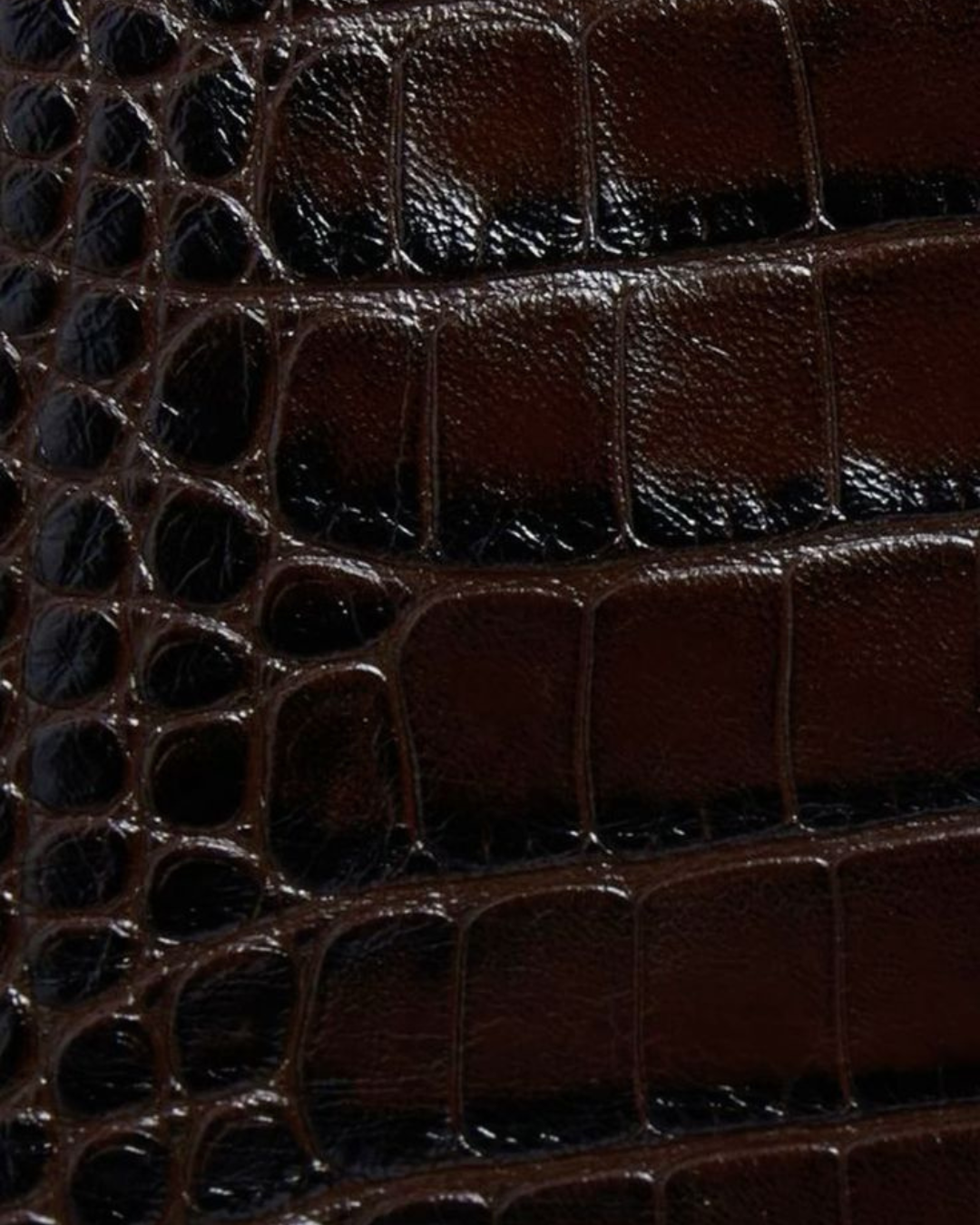 Croc Trend